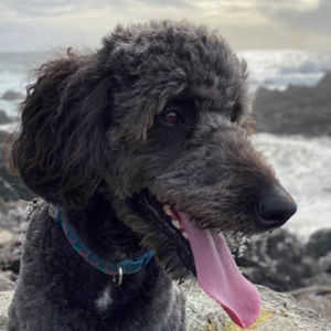 Meet your Posher, Habibatou